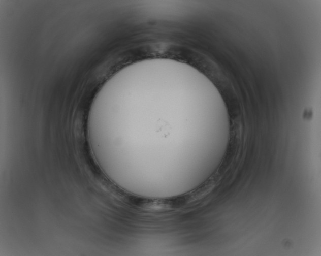 X0000093520754200710121127