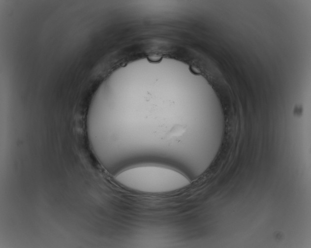 X0000093520755200710121127