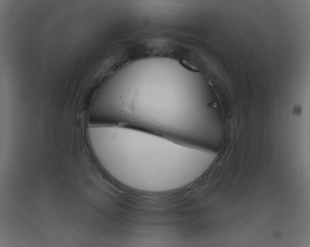 X0000093520756200710121127