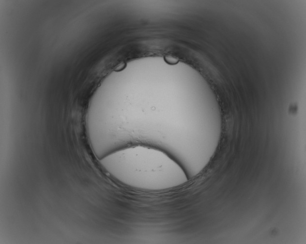X0000093520757200710121128