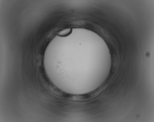 X0000093520758200710121128