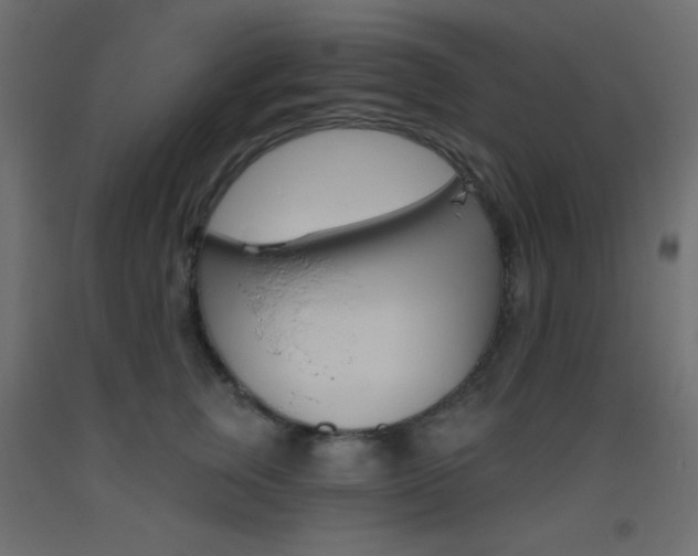 X0000093520759200710121128