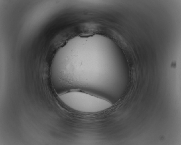X0000093520760200710121128
