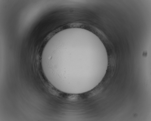 X0000093520761200710121128