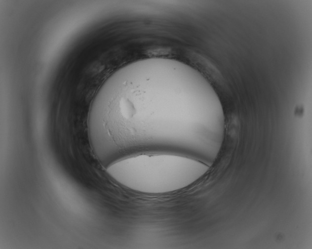 X0000093520763200710121128