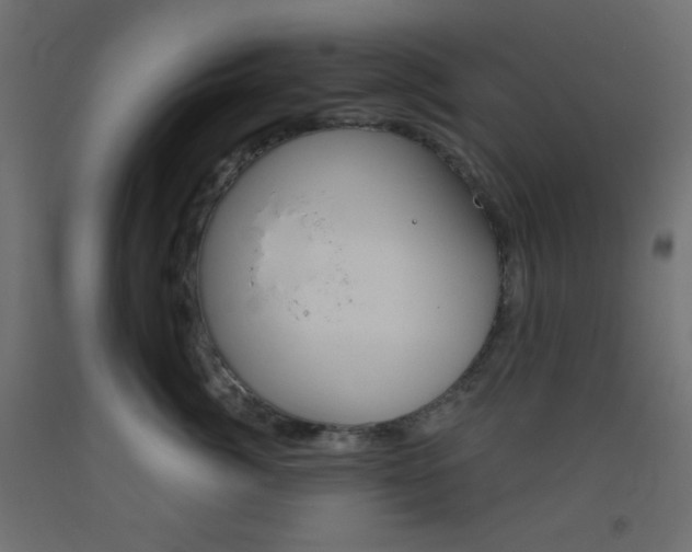 X0000093520764200710121128