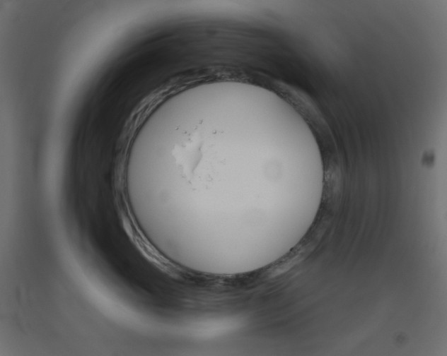 X0000093520765200710121128