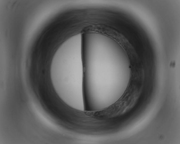X0000093520766200710121128