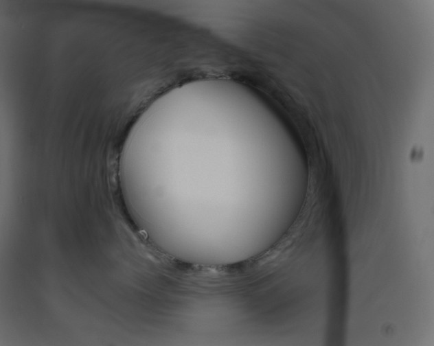 X0000093520768200710121128