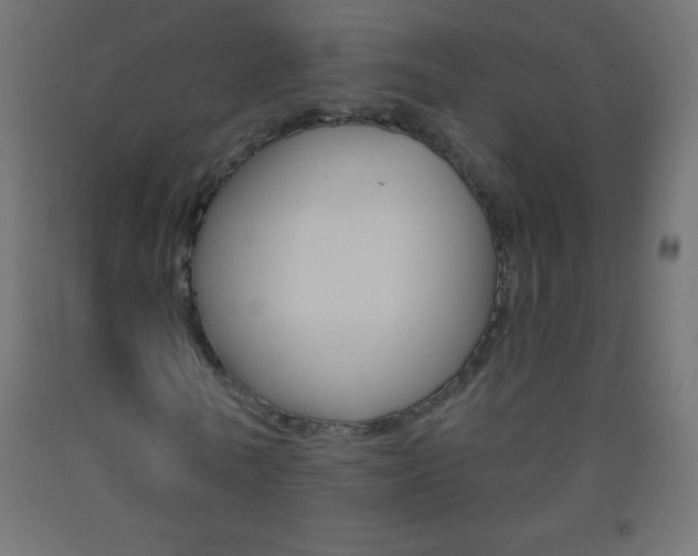 X0000093520770200710121127