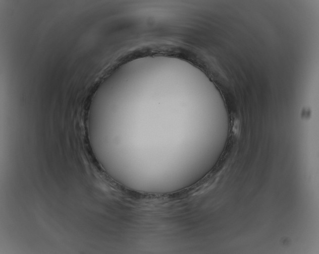 X0000093520771200710121127
