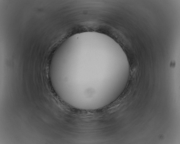 X0000093520772200710121127