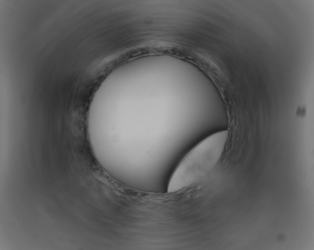 X0000093520773200710121127