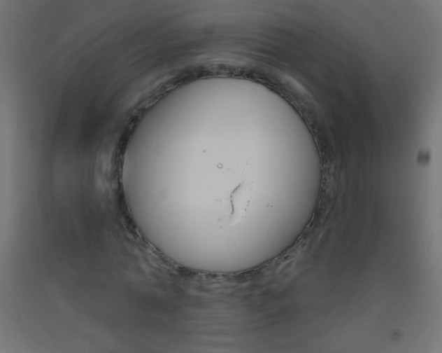 X0000093520774200710121127