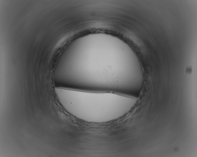 X0000093520775200710121127