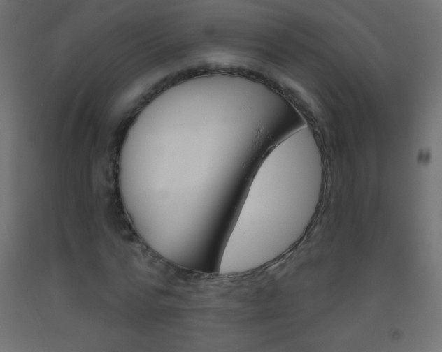 X0000093520776200710121127
