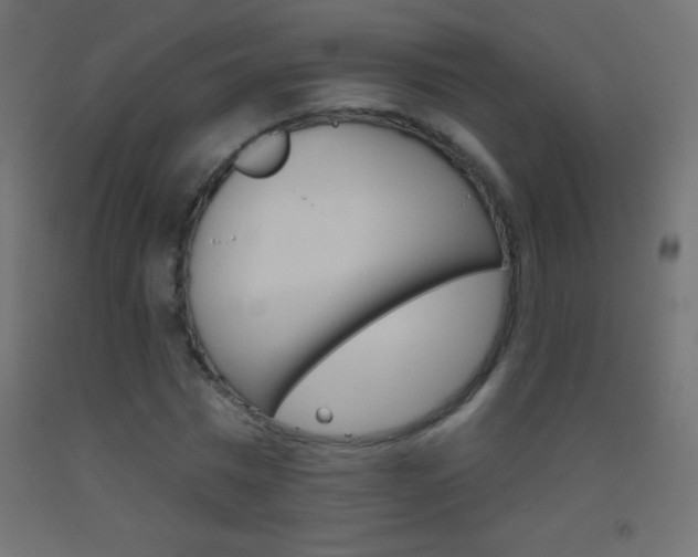 X0000093520777200710121127