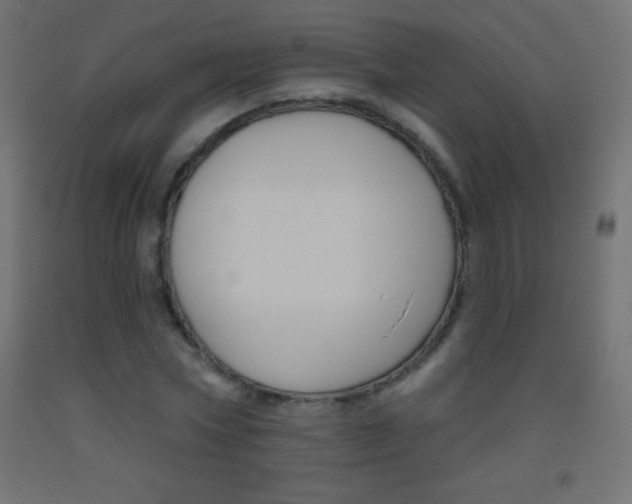 X0000093520778200710121127