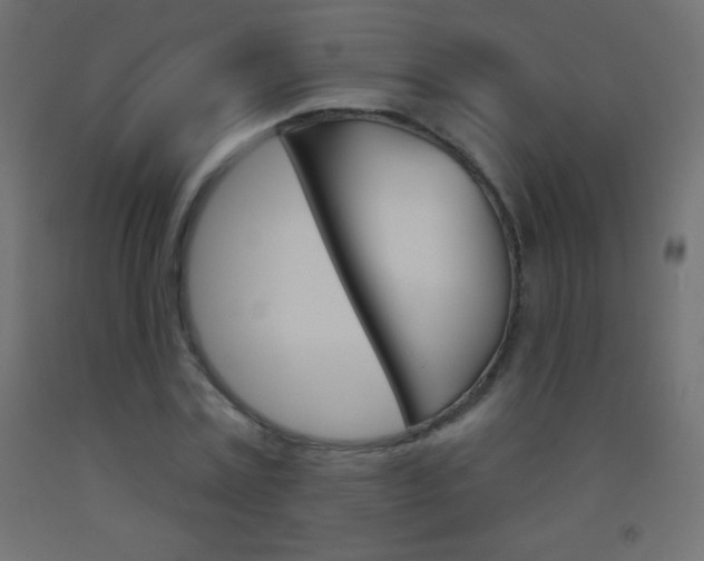X0000093520779200710121127
