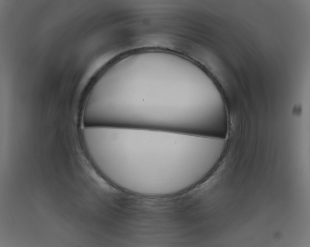 X0000093520780200710121127
