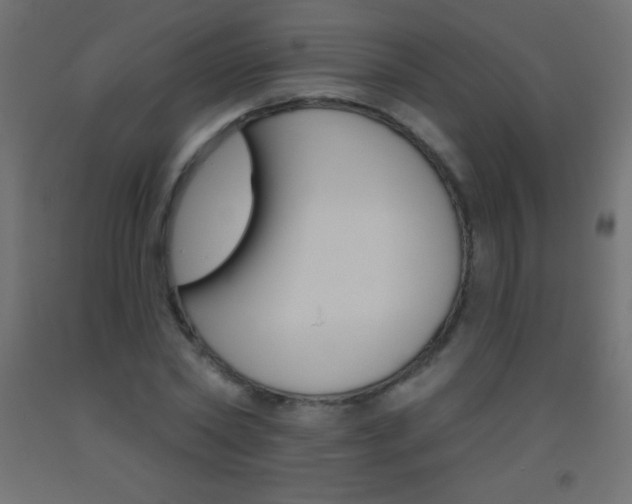 X0000093520782200710121127