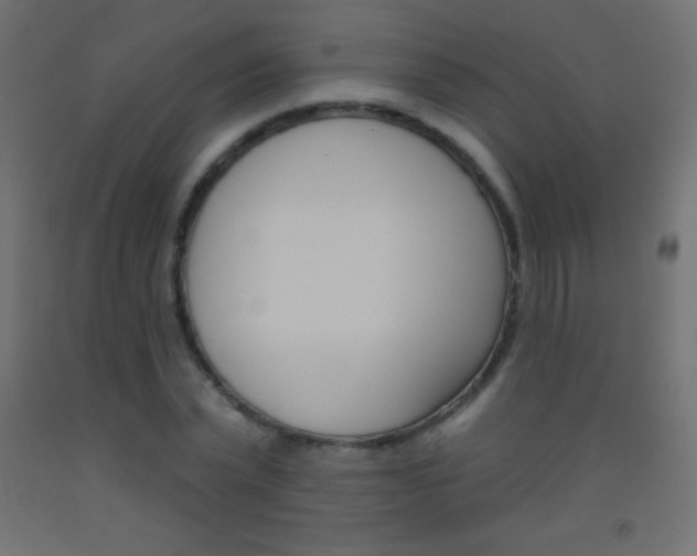 X0000093520783200710121127