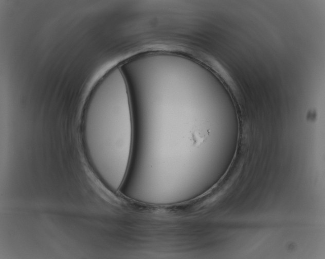 X0000093520787200710121127