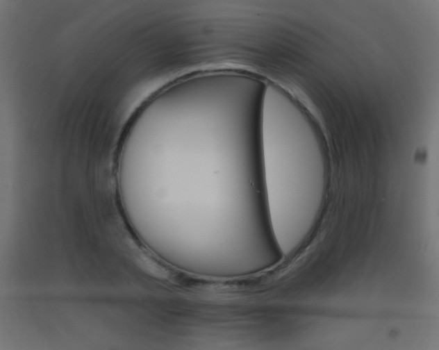 X0000093520789200710121127