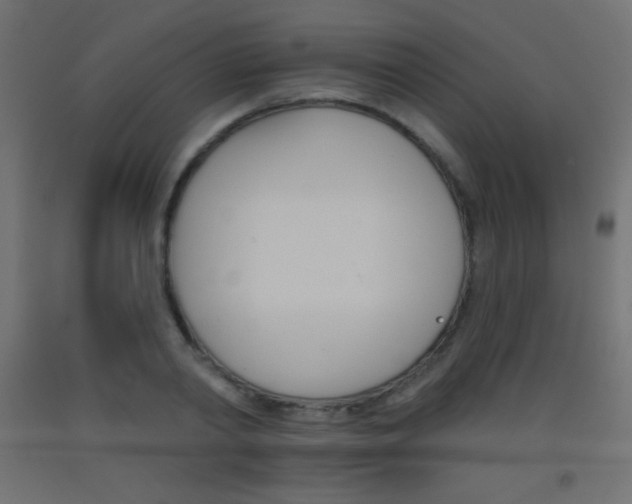 X0000093520790200710121127