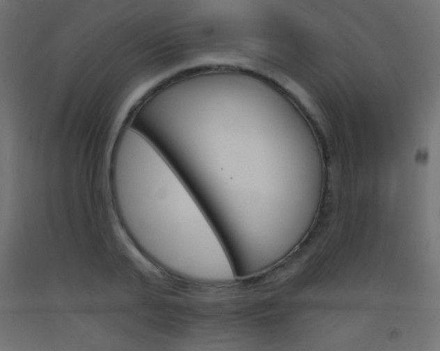 X0000093520791200710121127