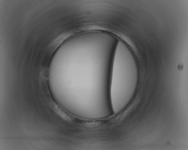 X0000093520793200710121127
