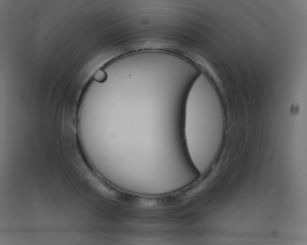 X0000093520794200710121127