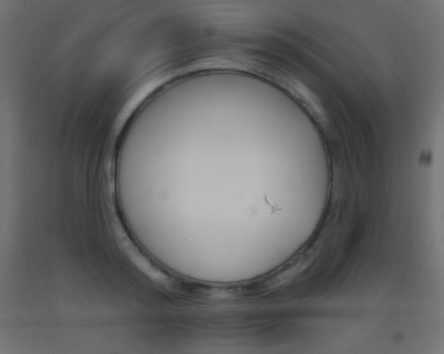 X0000093520796200710121127