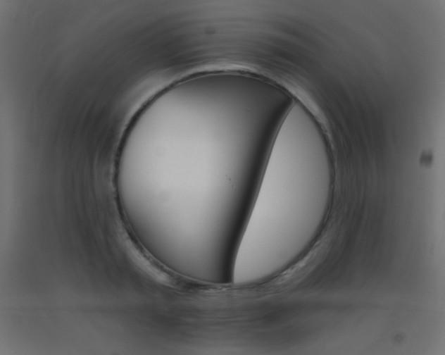 X0000093520797200710121127