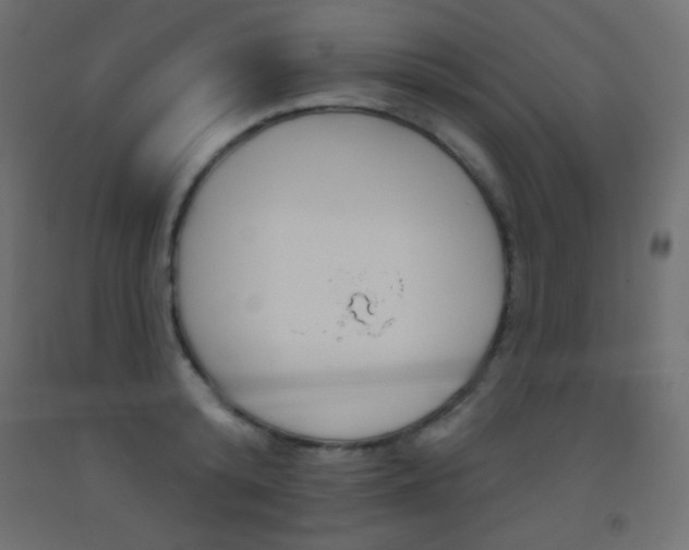 X0000093520800200710121127