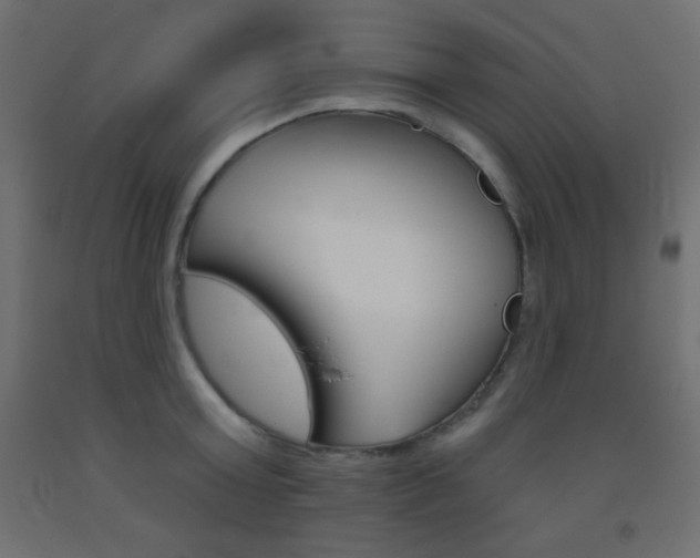 X0000093520803200710121127