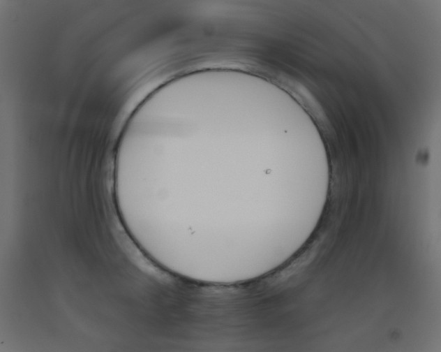X0000093520804200710121127