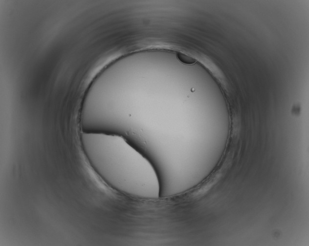 X0000093520806200710121127