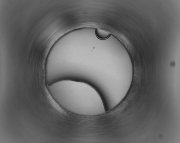 X0000093520808200710121127