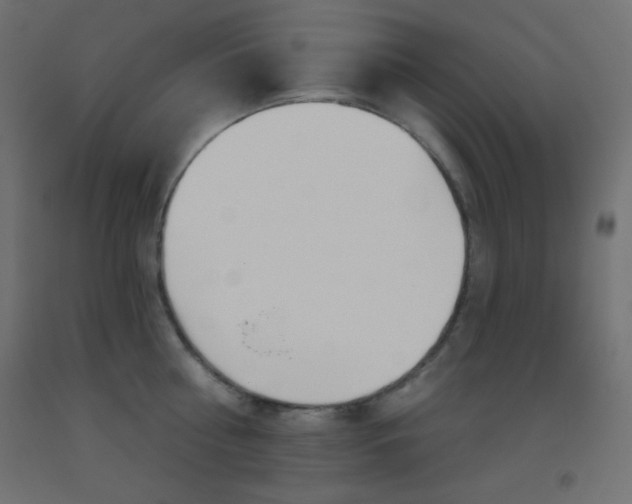 X0000093520810200710121127