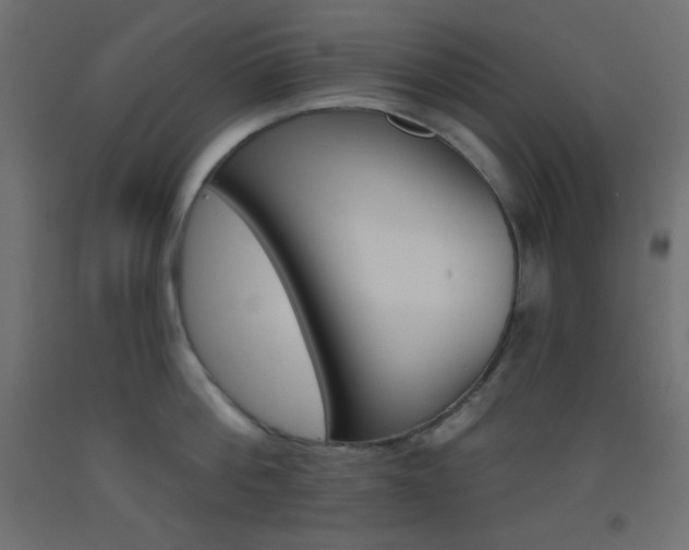 X0000093520812200710121127