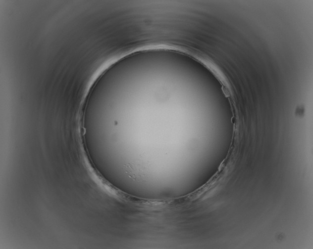 X0000093520813200710121127