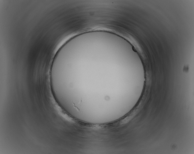X0000093520814200710121126