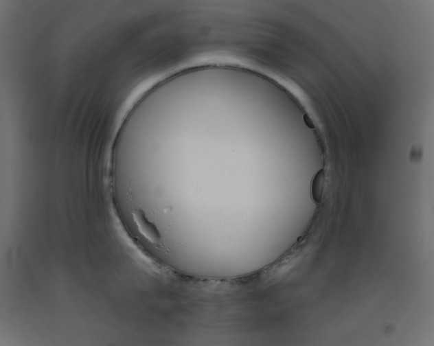 X0000093520815200710121126
