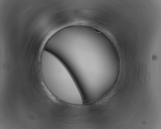 X0000093520816200710121126