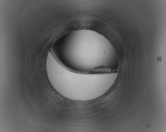 X0000093520818200710121126