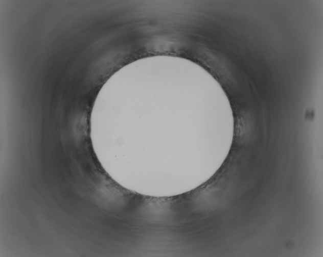 X0000093520820200710121126