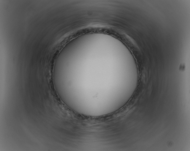 X0000093520821200710121126