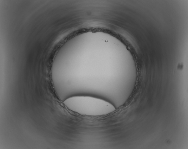 X0000093520823200710121126