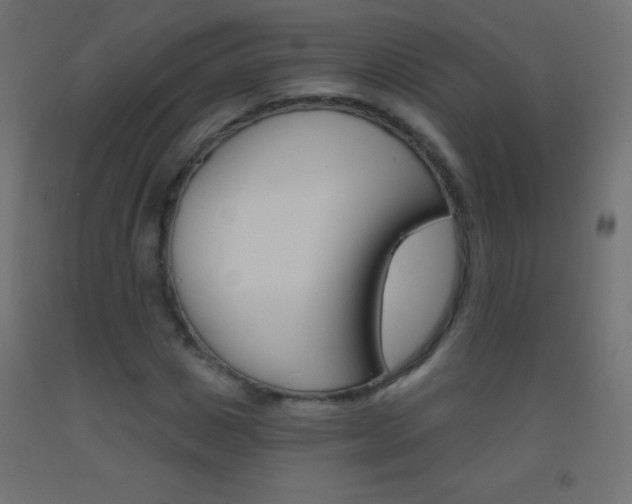 X0000093520825200710121126